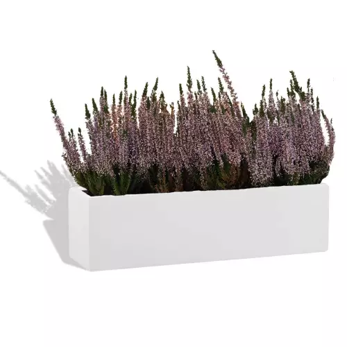 Biała donica D109S z wrzosami