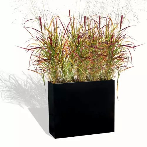 Czarna donica D272A z trawami ozdobnymi