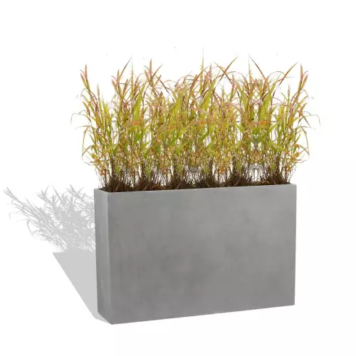 Szaro betonowa donica D272B z trawami ozdobnymi