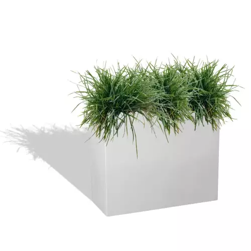 Biała donica D272L z trawami ozdobnymi