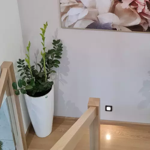 Donica D282C w kolorze biały połysk na schodach