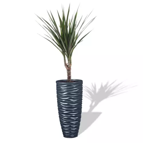 Antracytowa donica D7087C z Draceną