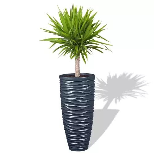 Antracytowa donica D7087D z Yukką