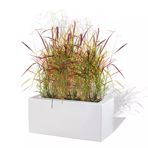 Biała donica D734B z trawą ozdobną