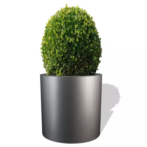 Szara donica D901D z ciętym Bukszpanem