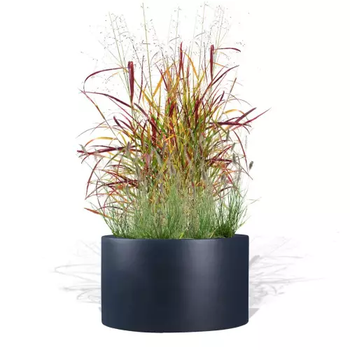 Antracytowa donica D901FD z trawami ozdobnymi