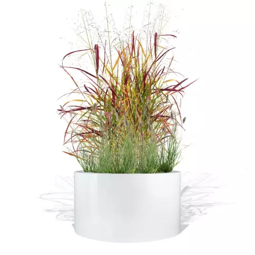 Biała donica D901FD z trawami ozdobnymi