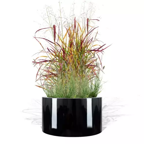 Czarna donica D901FD z trawami ozdobnymi