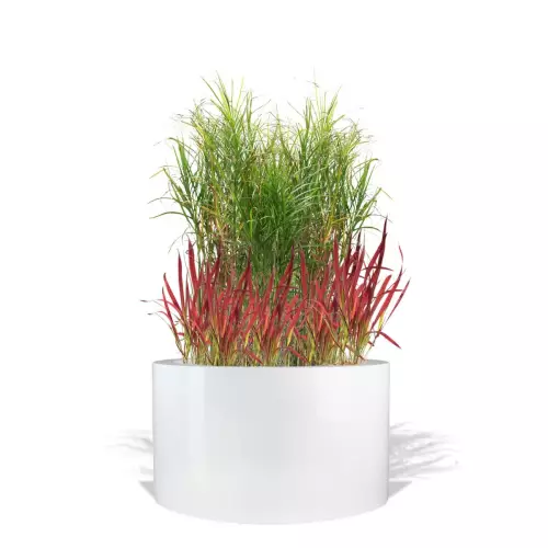 Biała donica D901GE z trawami ozdobnymi