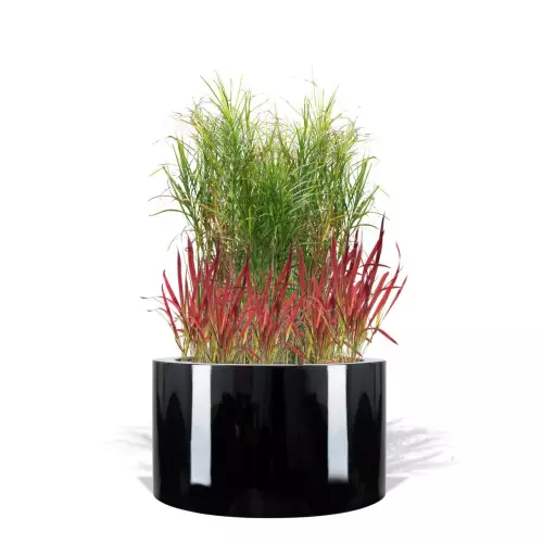 Czarna donica D901GE z trawami ozdobnymi