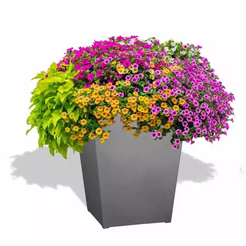 Szara donica D902F z petuniami w aranżacji