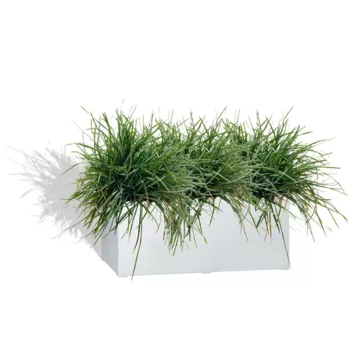 Biała donica D913D z trawą ozdobną