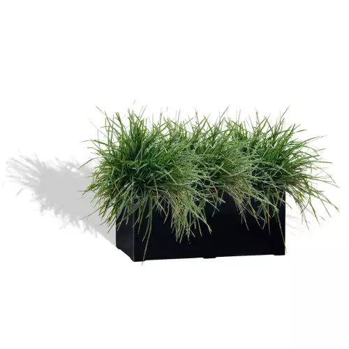 Czarna donica D913D z trawą ozdobną