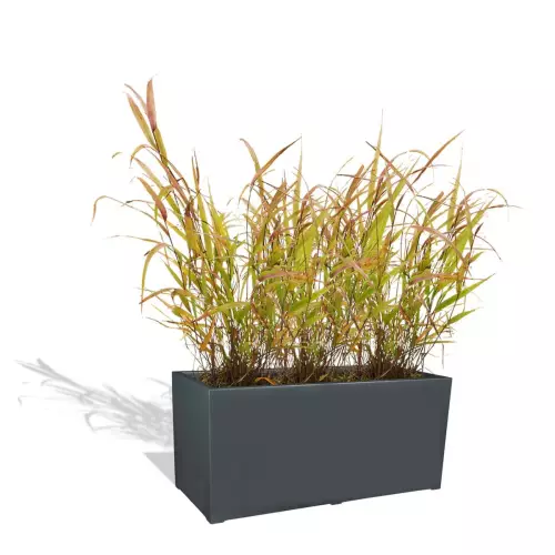 Antracytowa donica D913F z trawą ozdobną