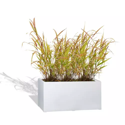 Biała donica D913F z trawą ozdobną