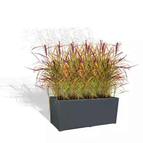 Antracytowa donica D913G z trawą ozdobną