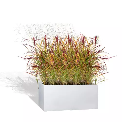 Białą donica D913G z trawą ozdobną