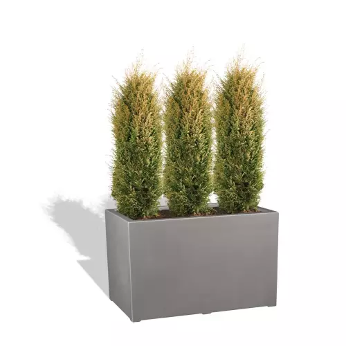 Szara donica D913N z jałowcem