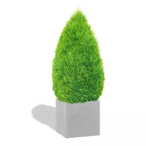 Betonowa donica D92C z cisem