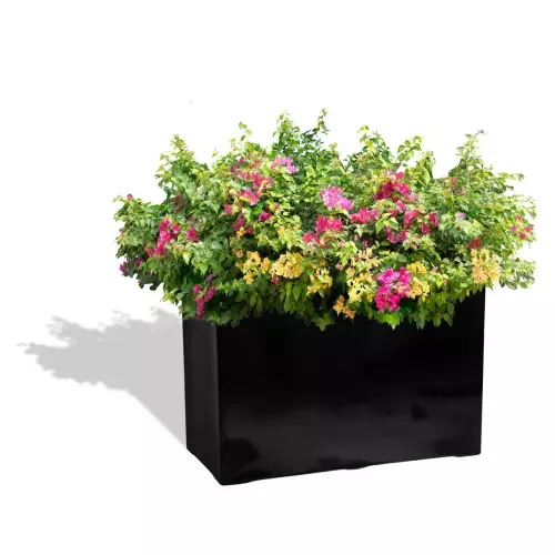 Rośliny kwitnące w czarnej donicy D934D