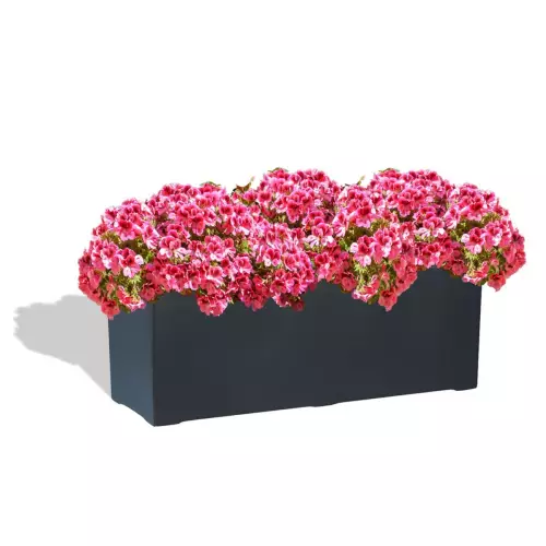 Antracytowa donica D972B z Pelargoniami