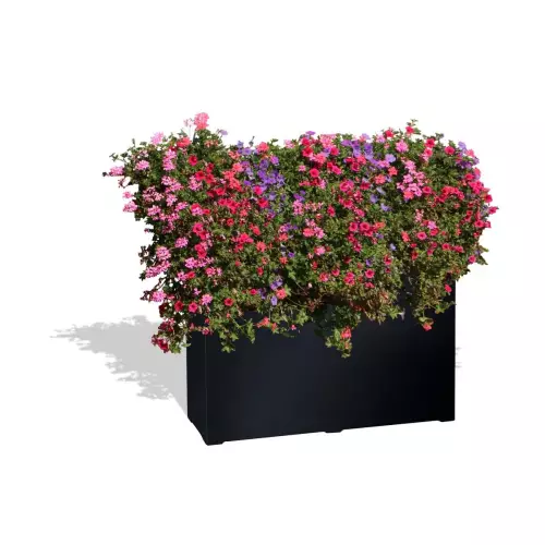 Czarna donica D972C z Pelargoniami i Petuniami