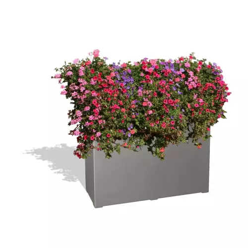 Szara donica D972C z Pelargoniami i Petuniami