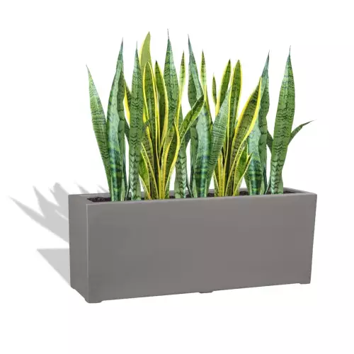 Szara donica D972L z Sansewierią