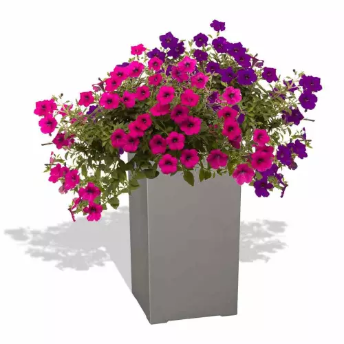 Szara donica D973D z petuniami