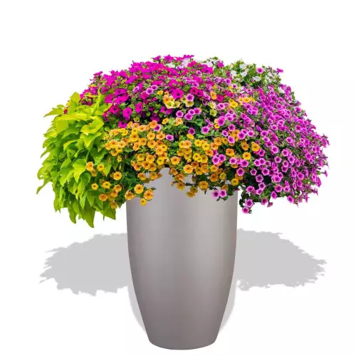 Szara donica D982F z Petuniami w aranżacji