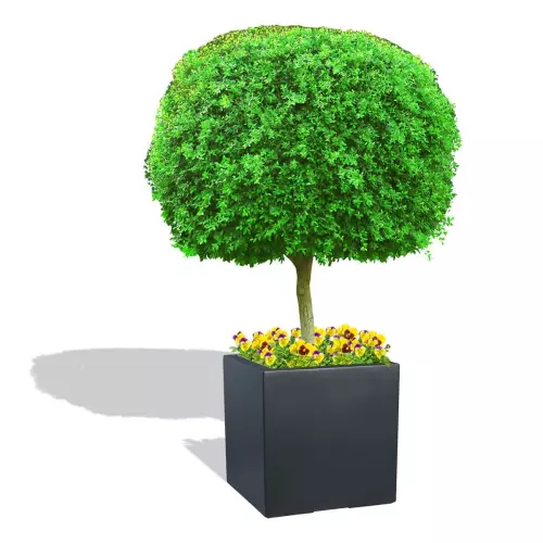 Antracytowa donica D992D z formowanym drzewkiem