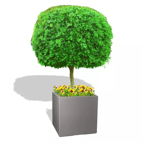 Szara donica D992D z drzewem i bratkami