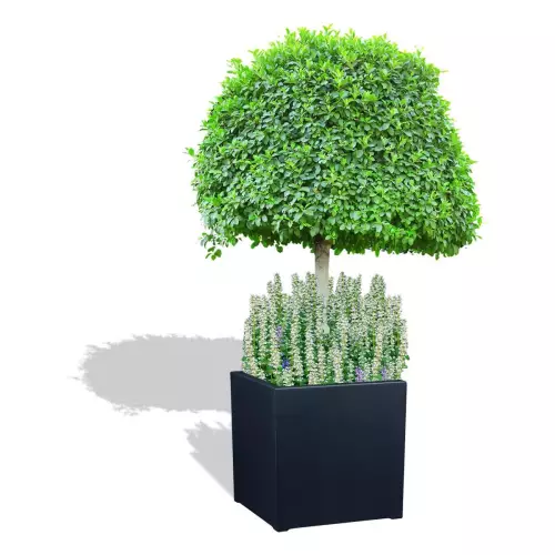 Antracytowa donica D992E z drzewkiem i dąbrówką