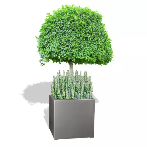 Szara donica D992E z drzewem i dąbrówką rozłogową