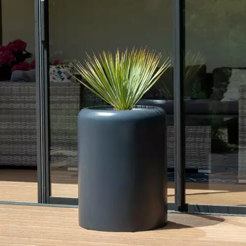 Juka rostrata w donicy ZADORA Classic AMBIENTE 60