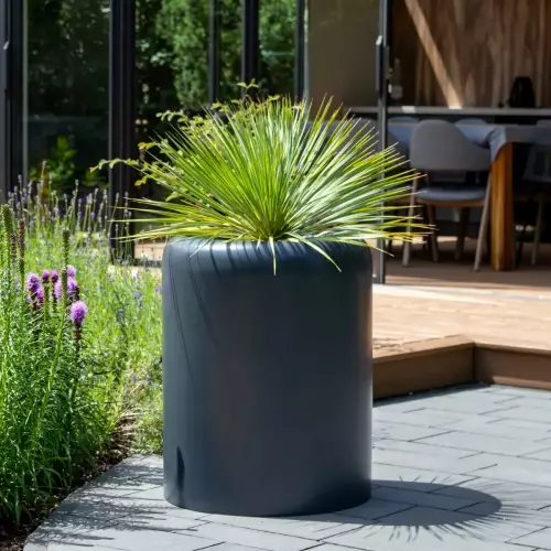 Juka rostrata w donicy AMBIENTE 70 antracyt mat