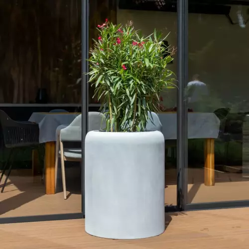 Oleander w donicy AMBIENTE 70 szary beton