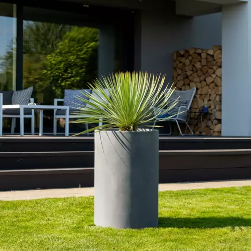 Juka rostrata w donicy D101C grafitowy beton