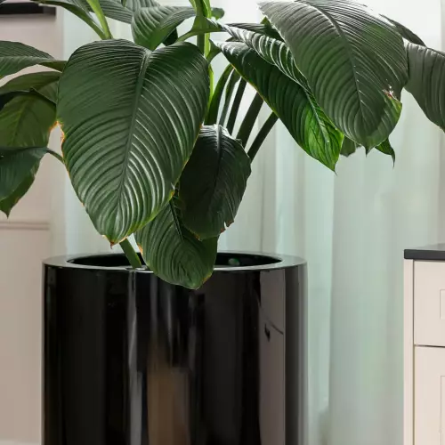 Duża okrągła donica czarny połysk D901N