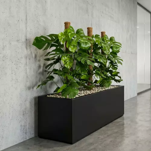 Donica ZADORA Premium D913B w holu biura