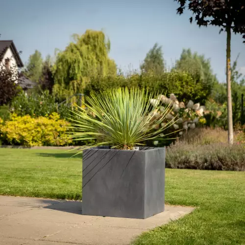 Donica D92B 38x38x38 cm i juka rostrata