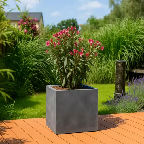 Oleander w donicy D92C grafitowy beton