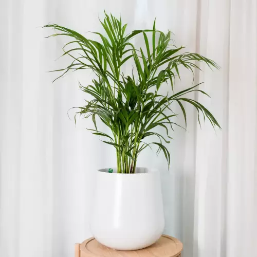 Donica z włókna szklanego SQ30 biały mat