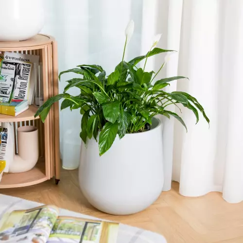 Biała matowa doniczka do salonu SQ40 Ø40x40 cm