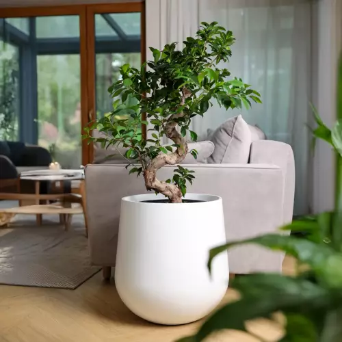 Biała matowa okrągła donica do domu Ø48x50 cm