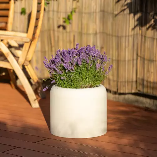 Lawenda w donicy AMBIENTE 35 biały beton