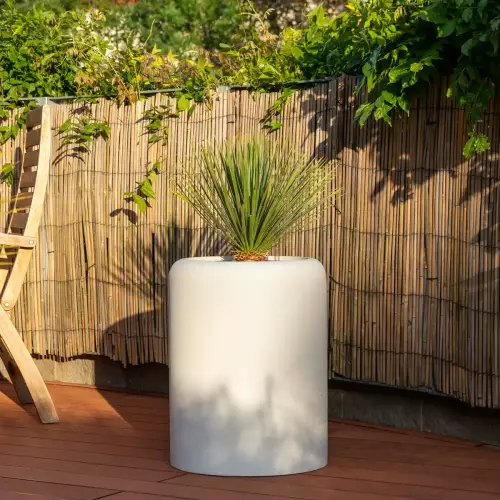 Yucca rostrata w donicy AMBIENTE 60 biały beton