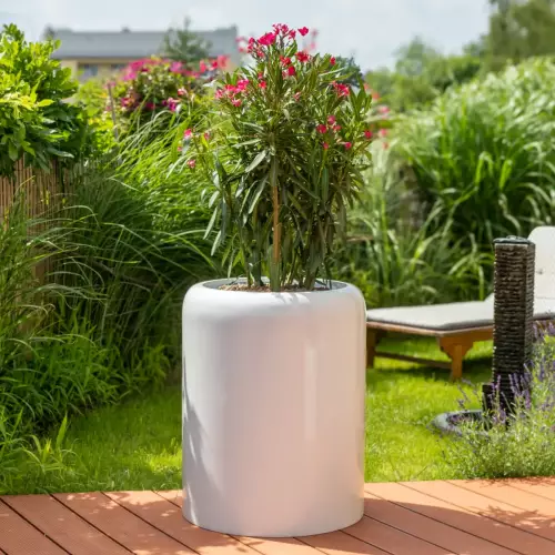 Oleander w donicy AMBIENTE 70 biały połysk