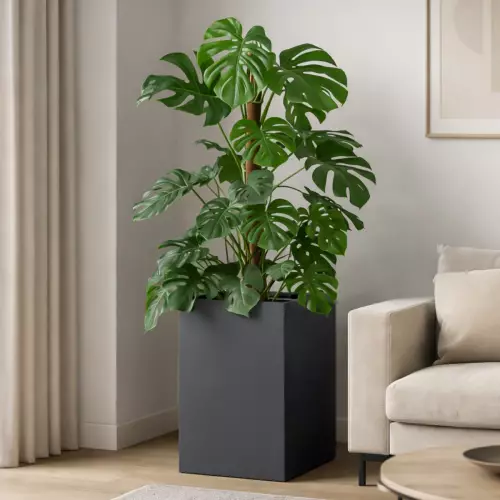 Donica ZADORA Classic D100C antracyt mat