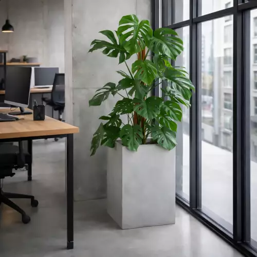 Donica ZADORA Classic D100C szary beton